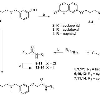 Scheme Synthesis Of Compounds Reagents And Conditions A