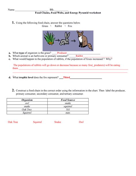 Food Chains Review Handout With Answers Whl V Food Chains