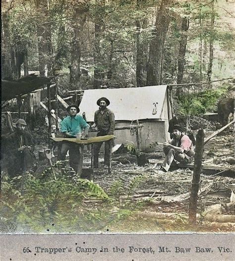 Trappers Camp In The Forest At Mt Baw Baw Victoria Very Early 1900s