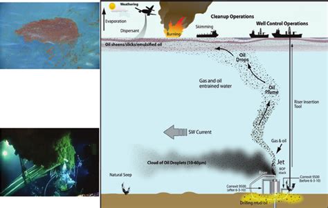 Graphic depiction of Deepwater Horizon spill and cleanup. | Download Scientific Diagram