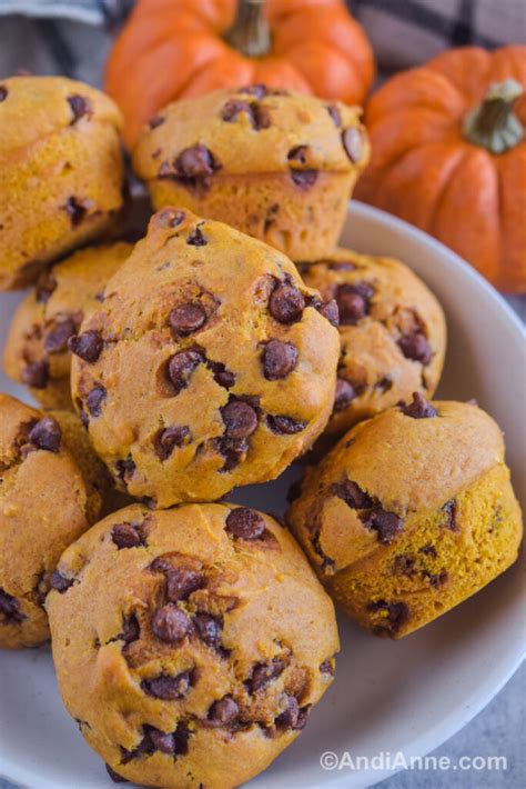 Pumpkin Chocolate Chip Muffins Extra Chocolate