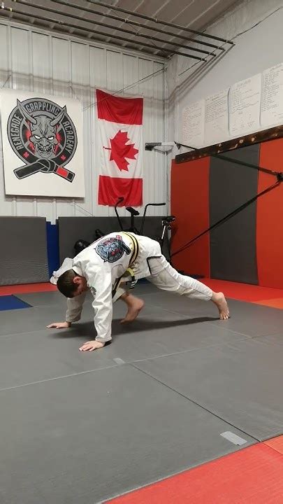 Bjj Solo Drill 28 Of 30 Alligator Push Up Youtube