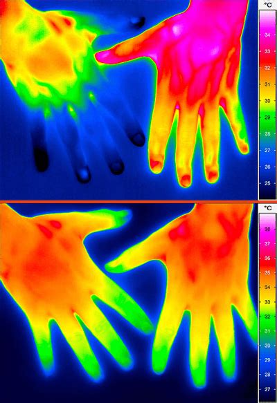 Infrared & Thermal Imaging Applications - Tech Imaging Services