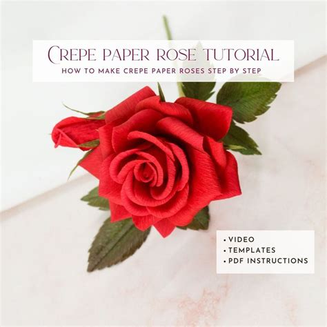 Crepe Paper Rose Template How To Make Paper Rose Paper Flower