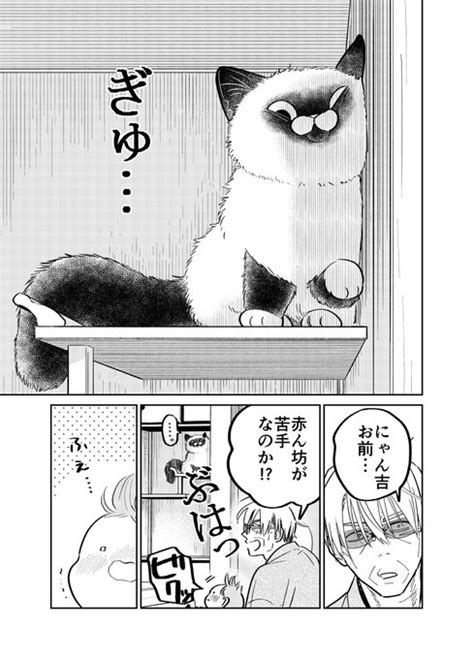 無敵と思われた猫に天敵が現れた話。 （2／4） 片倉 頼📦オヤジとにゃん吉👨‍🦳🐾🐱7 113⃣巻発売🐾 さんのマンガ ツイコミ仮