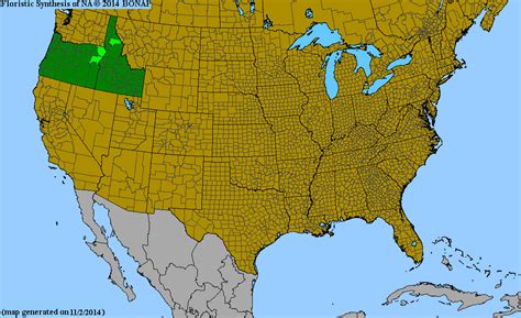 Bonap North American Plant Atlas Taxonmaps