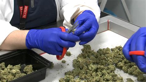 Illinois marijuana sales: Nearly $40M in legal weed sold in state in ...