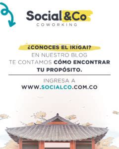 Qué es el ikigai en nuestro blog te contamos cómo encontrar tu