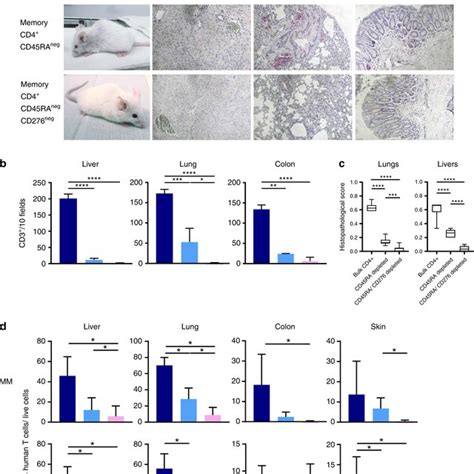 Cd45racd276 Depletion Reduces Ifn γ And Tnf α Secretion And Activation