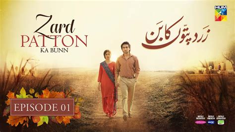 Zard Patton Ka Bunn Episode Hum Tv