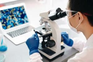 Bioengineering and Biotechnology | Free Online Course | Alison