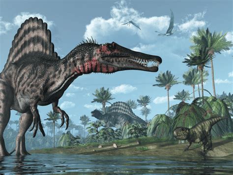 Ferocious Facts About Spinosaurus You’ll Be Amazed To Know