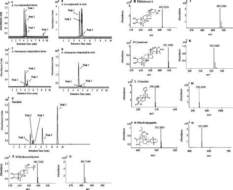 Chromatograms Of Extracted Ion Chromatogram Lc−ms Analysis Of