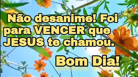 💌💞bom Dia Se Você Colocou Nas Mãos De Deus Aquieta E Confia🌺💖 Youtube