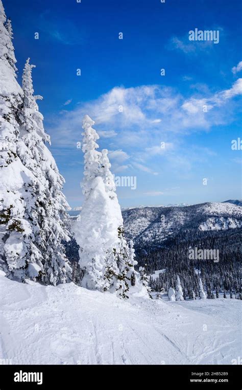 Heavy Snowfall White Out The Winter Landscape On Big Mountain In