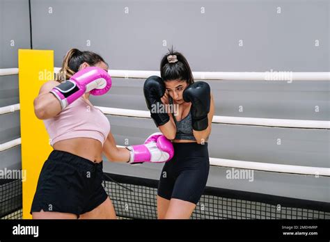 Female Boxer Punching Her Practice Opponent In The Stomach From The