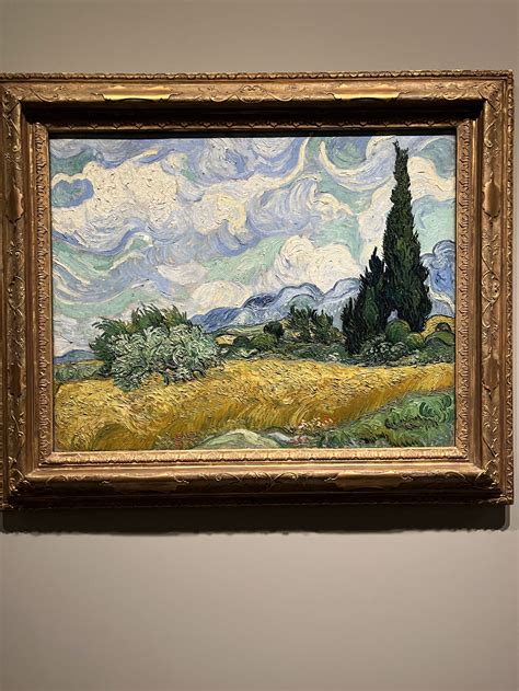 Vintana Van Gogh S Cypresses At The Met