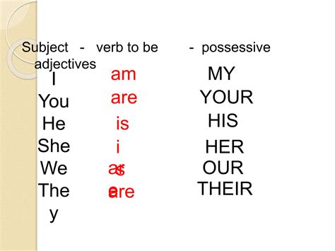 Possessive Adjective Grammar Drills48051 1pptx