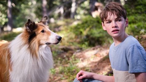 Lassie Una Nuova Avventura Streaming ITA In HD Altadefinizione Nuovo