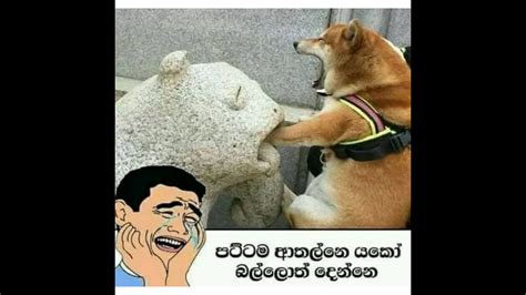 Fb Funny Post Sinhala Joke Post 60 Nittawa Youtube