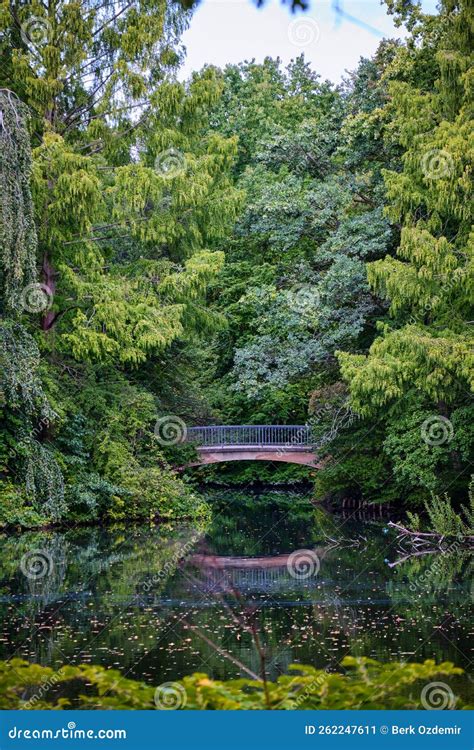 Ponte De Madeira No Meio De Uma Paisagem Verde No Parque Do Tiergarten