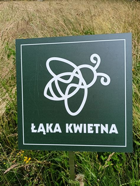 Łąki kwietne co warto o nich wiedzieć PAN Ogród Botaniczny w