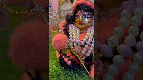 तेरा किसने किया सिंगार साँवरे 😍🌸 Krishna Krishnastatus Viralshort Radha Radhe Viral Youtube