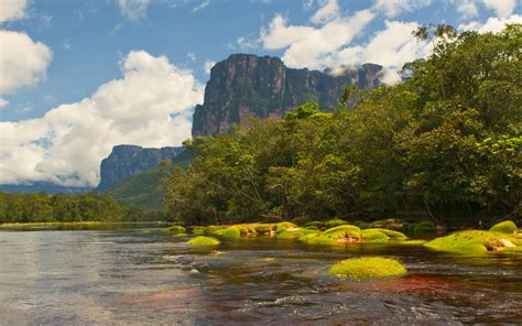 The Countries With The Largest Forests On Earth