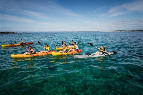 Tour En Kayak Por Hondarribia Reserva Online En Civitatis