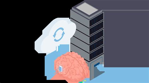 What Are the Similarities Between Humans and Computers