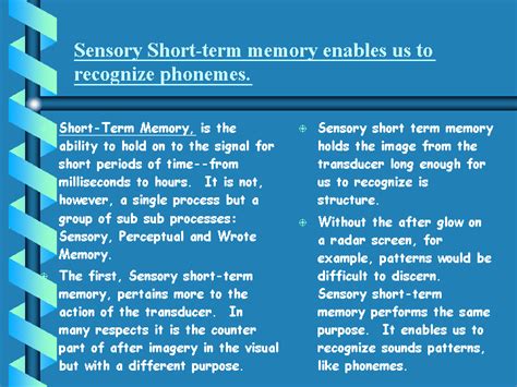 Short Term Memory Examples