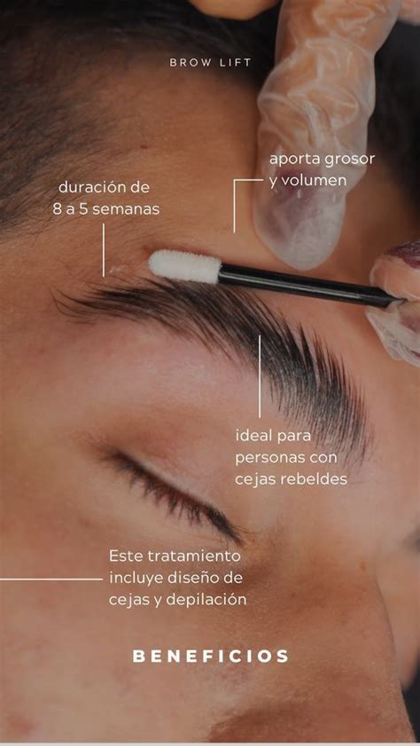 Beneficios del laminado de cejas Cejas Frases de cejas Cejas y pestañas