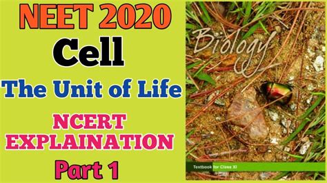 Cell The Unit Of Life Class 11 Ncert Explanation Chapter 8 Revision Neet 2020 Aiims