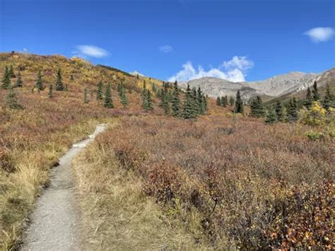 10 Best Hikes and Trails in Denali National Park | AllTrails