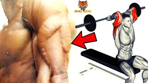 15 Best Tricep Exerices At Gym Youtube