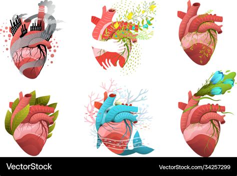 Heart Health And Cardiology Concepts Designs Vector Image