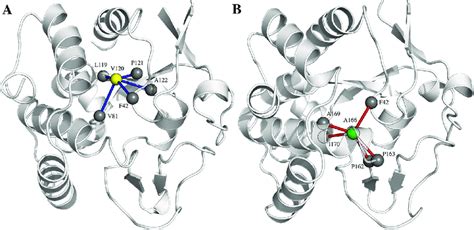 Different Hydrophobic Interaction Clusters In VsEndA And VcEndA The