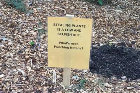 30 Witty, Hilarious, and Funniest Yard Signs | eSigns