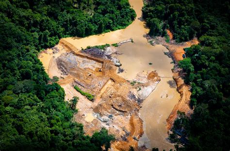 Sobrevoo Revela Estrada Clandestina A Servi O Do Garimpo Ilegal Na