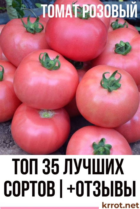 ТОП-35 Лучших Сортов Розовых Томатов | +Отзывы