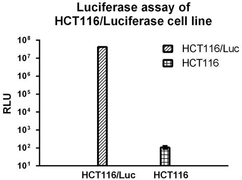 Differential MicroRNA Expression Profiles In HCT116 Colorectal Cancer