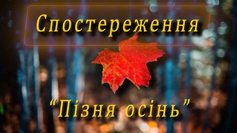 Спостереження - "Пізня осінь" - YouTube