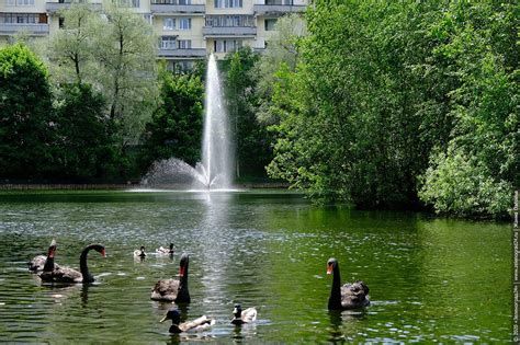 Достопримечательности в зеленограде - 80 фото