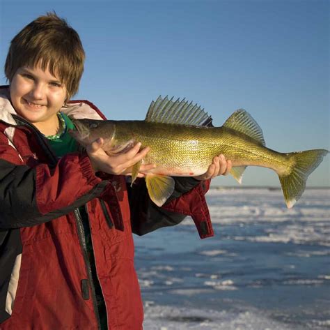 Top 10 Ice Fishing Lakes In Minnesota Best Fishing In America