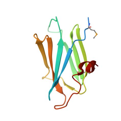 Rcsb Pdb Eud Structure Of The Cs Domain Of The Essential H Aca Rnp