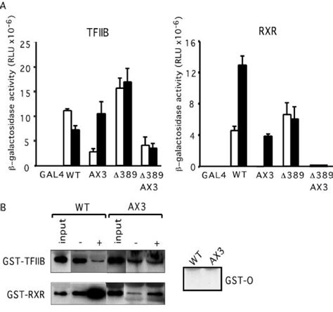 Vdr H10 Mutant Interactions With Tfiib And Rxr A Yeast Two Hybrid