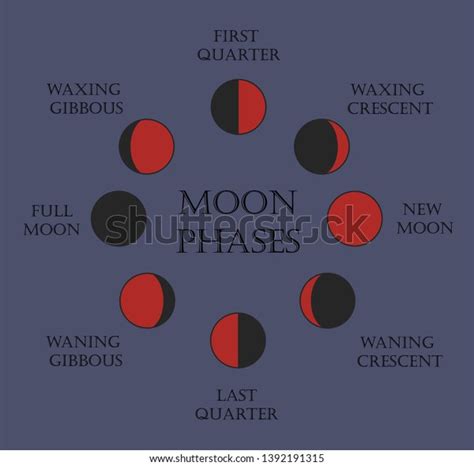 Red Moon Phases Outline Icons Set Stock Vector (Royalty Free ...