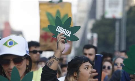 Stf Forma Maioria Para Descriminalizar Maconha Para Uso Pessoal DiÁrio Pb