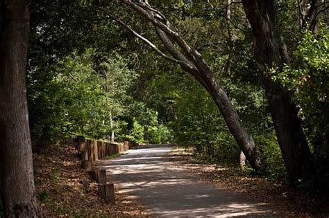 Vine Trail Napa Valley Building A 47 Mile Walking And Biking Trail