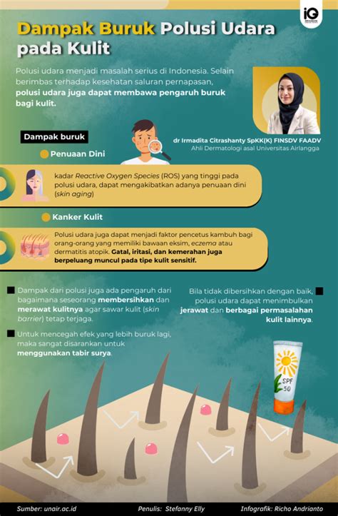 Infografik Dampak Buruk Polusi Udara Pada Kulit